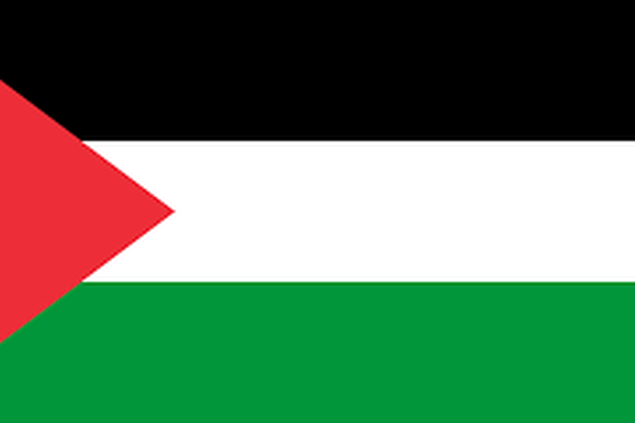 Stop al genocidio a Gaza - libertà e giustizia per la popolazione palestinese!